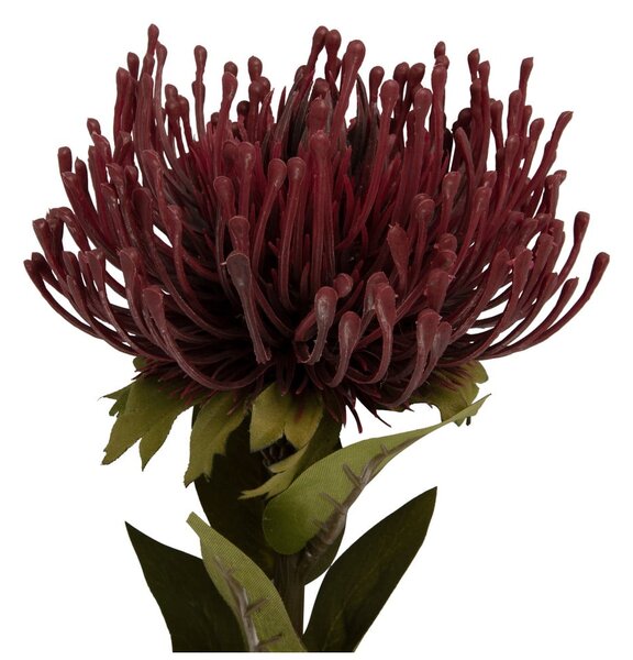 Sztuczny kwiat (wysokość 60 cm) Protea – PT LIVING