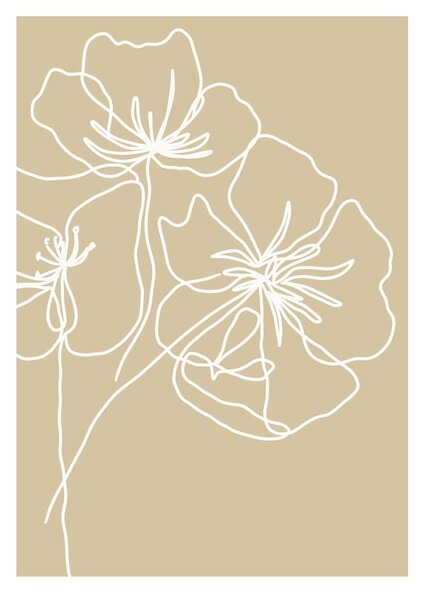 Plakat 29x41 cm White Poppy – Veronika Boulová