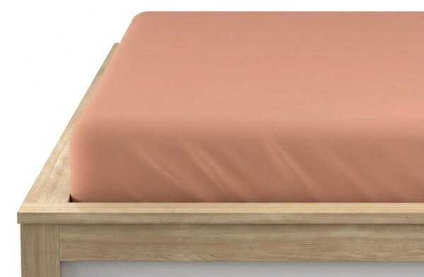 Prześcieradło jersey BASIC morelowe 90 x 200 cm
