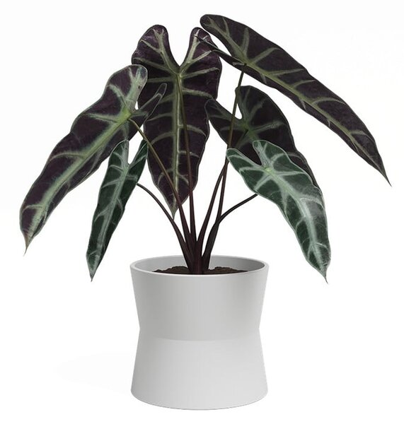 Ceramiczna doniczka ø 14 cm Diana – Artevasi
