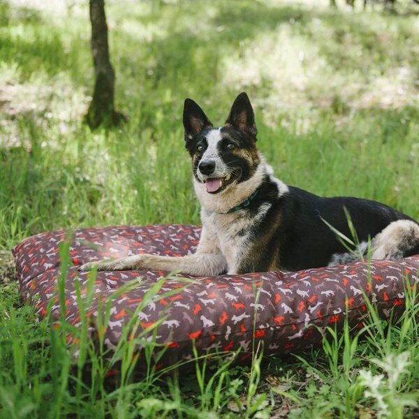 Brązowe legowisko dla psów 50x70 cm Outdoor Bed Mocha S – P.L.A.Y