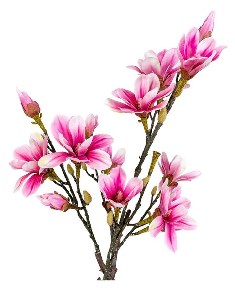 Sztuczny kwiat Magnolia – House Nordic