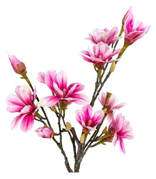 Sztuczny kwiat Magnolia – House Nordic