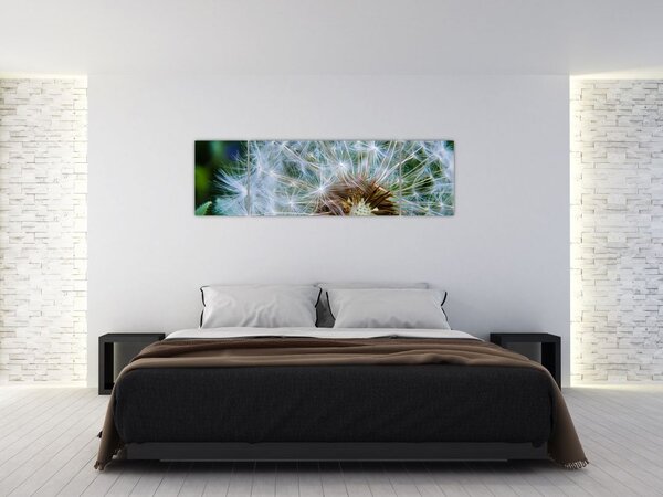 Obraz przekwitniętego dmuchawca (170x50 cm)