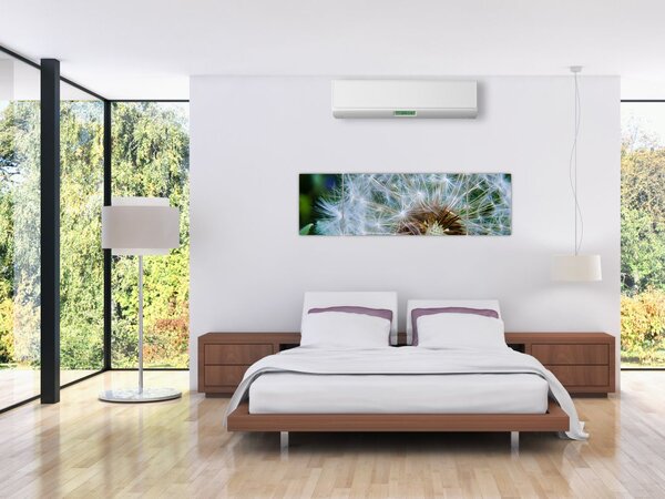 Obraz przekwitniętego dmuchawca (170x50 cm)