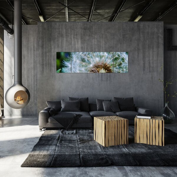 Obraz przekwitniętego dmuchawca (170x50 cm)