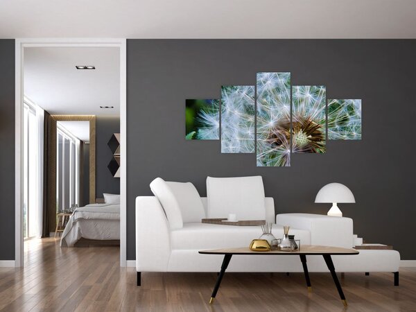 Obraz przekwitniętego dmuchawca (125x70 cm)