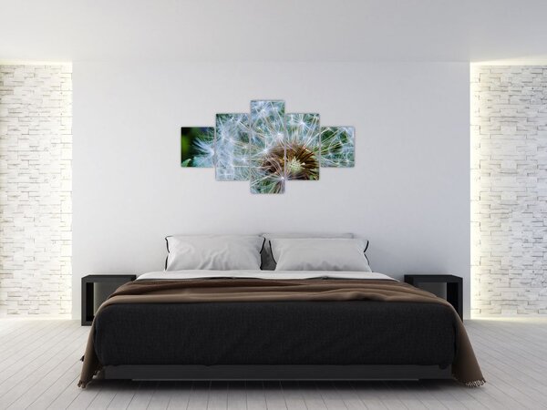 Obraz przekwitniętego dmuchawca (125x70 cm)