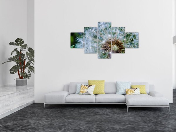 Obraz przekwitniętego dmuchawca (125x70 cm)