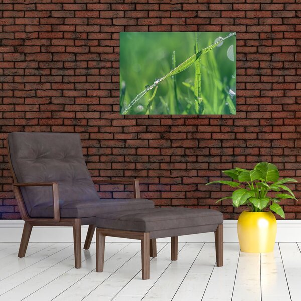 Obraz kropli rosy (70x50 cm)