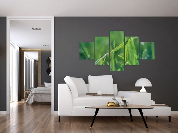 Obraz kropli rosy (125x70 cm)