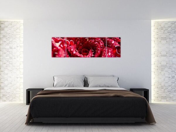 Obraz czerwonego kwiatu róży (170x50 cm)