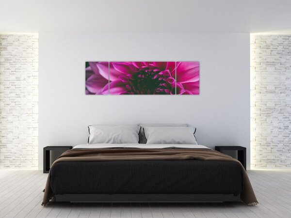 Obraz różowego kwiatu róży (170x50 cm)