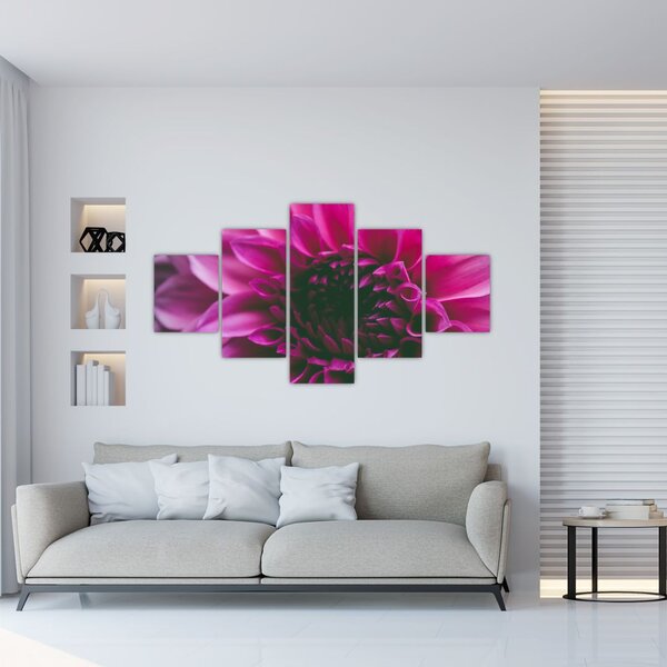Obraz różowego kwiatu róży (125x70 cm)