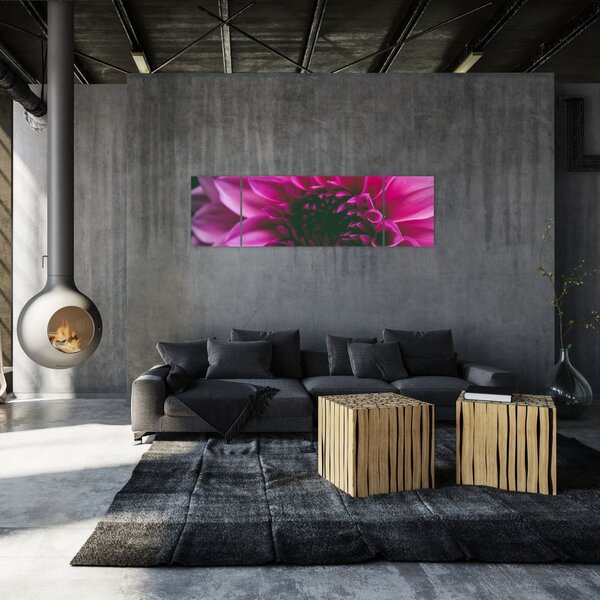 Obraz różowego kwiatu róży (170x50 cm)