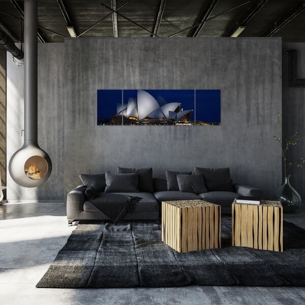 Obraz Sydney w nocy (170x50 cm)