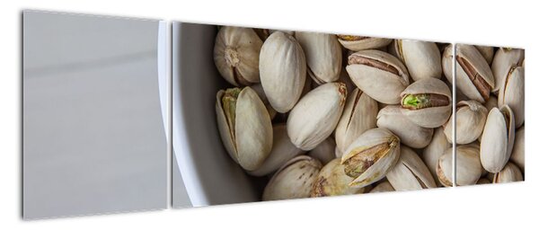 Obraz - pistacje (170x50 cm)