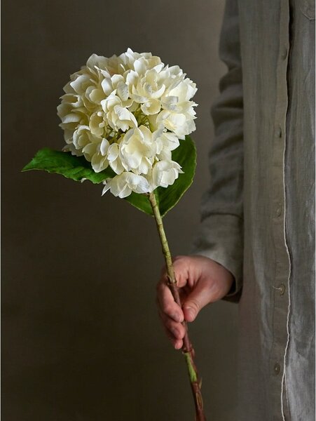 Sztuczny kwiat (wysokość 56 cm) Hydrangea – Bloomingville