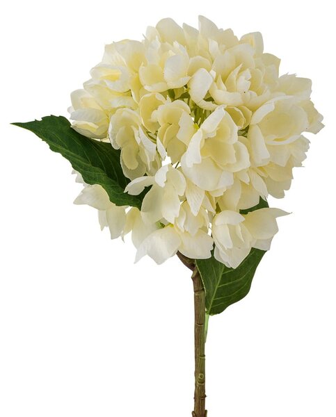 Sztuczny kwiat (wysokość 56 cm) Hydrangea – Bloomingville