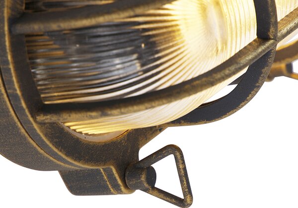 Lampa ścienna i sufitowa złoto/mosiądz owalna IP44 - Noutica