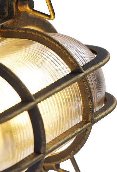 Lampa ścienna i sufitowa złoto/mosiądz owalna IP44 - Noutica