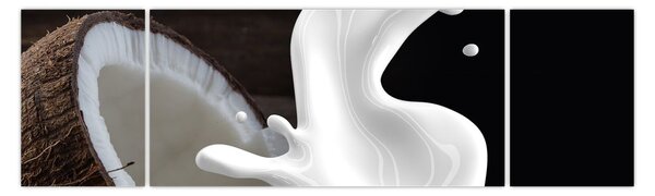 Obraz - mleko kokosowe (170x50 cm)