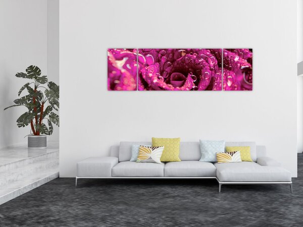Obraz różowego kwiatu róży (170x50 cm)