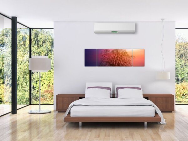 Obraz drzew we mgle (170x50 cm)