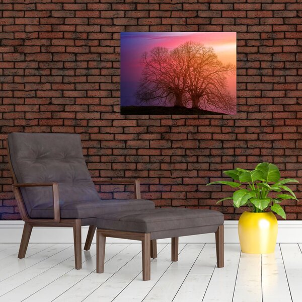 Obraz drzew we mgle (70x50 cm)