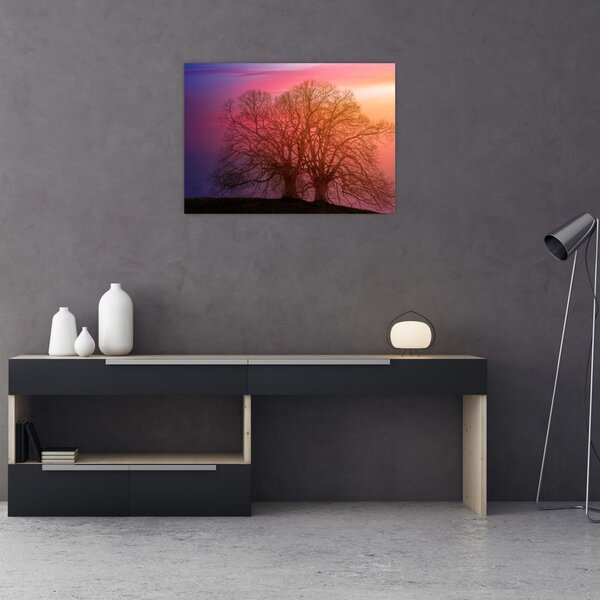 Obraz drzew we mgle (70x50 cm)