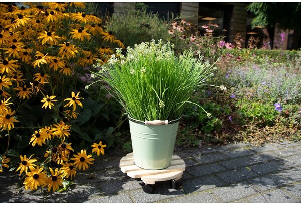 Drewniany kwietnik na kółkach ø 29 cm (wysokość 8 cm) Indoor & Outdoor – Esschert Design