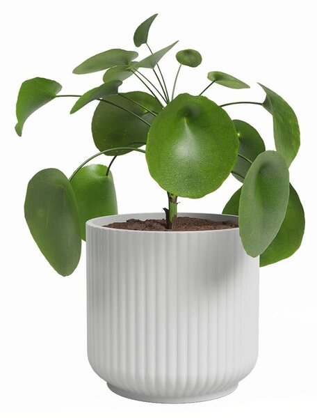 Ceramiczna doniczka ø 15 cm Luna – Artevasi