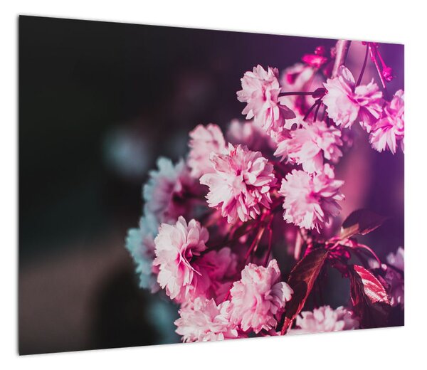 Obraz kwiatów drzewa (70x50 cm)