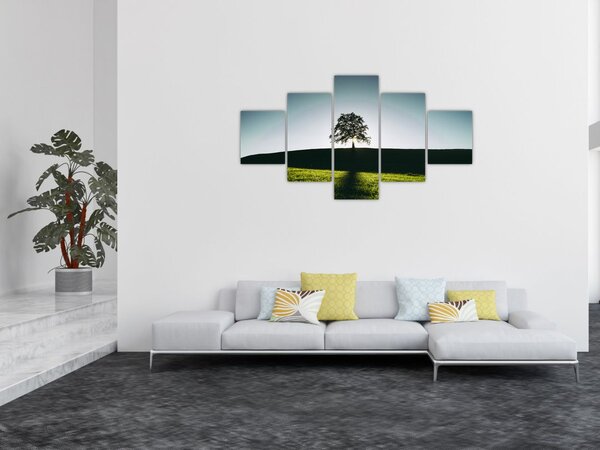 Obraz natury - drzewo (125x70 cm)