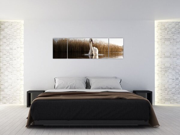 Obraz łabędzia (170x50 cm)