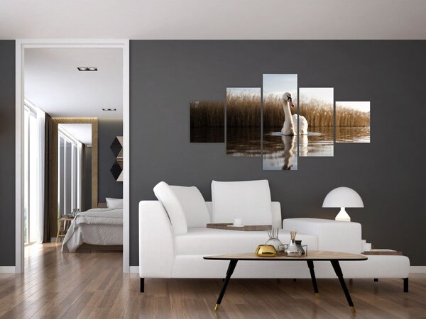 Obraz łabędzia (125x70 cm)