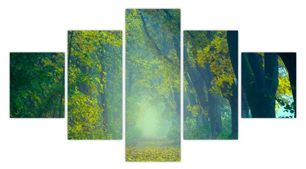 Obraz drogi wysadzanej drzewami (125x70 cm)
