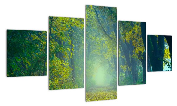 Obraz drogi wysadzanej drzewami (125x70 cm)
