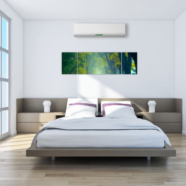 Obraz drogi wysadzanej drzewami (170x50 cm)