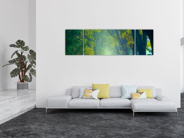 Obraz drogi wysadzanej drzewami (170x50 cm)