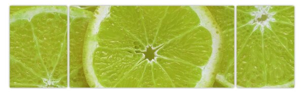 Obraz - pokrojone cytryny (170x50 cm)