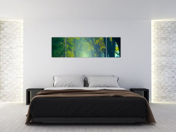 Obraz drogi wysadzanej drzewami (170x50 cm)