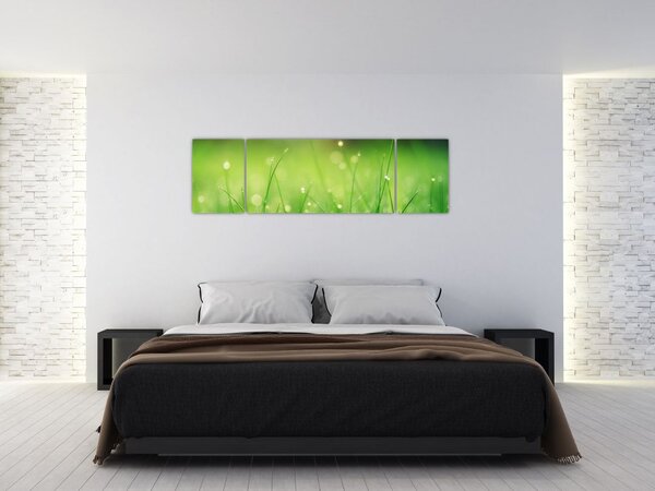Obraz - rosa na trawie (170x50 cm)