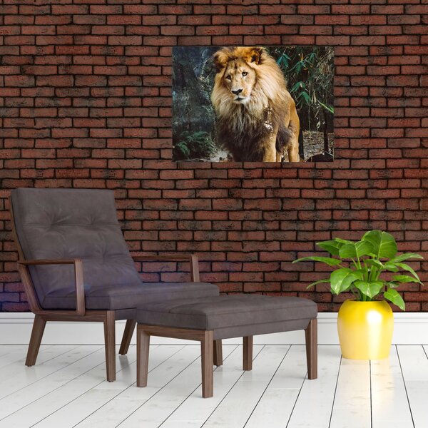 Obraz lwa w naturze (70x50 cm)