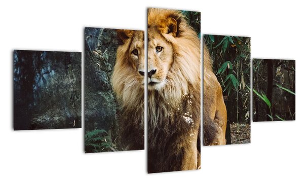 Obraz lwa w naturze (125x70 cm)