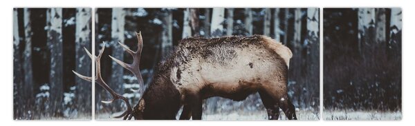 Obraz - jeleń zimą (170x50 cm)