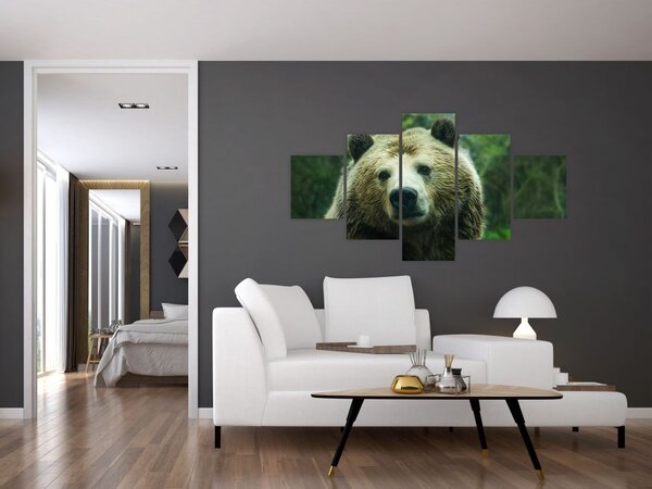 Obraz niedźwiedzia (125x70 cm)