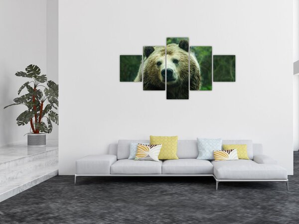 Obraz niedźwiedzia (125x70 cm)