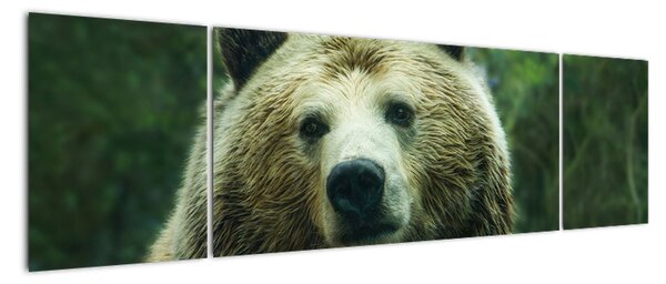 Obraz niedźwiedzia (170x50 cm)