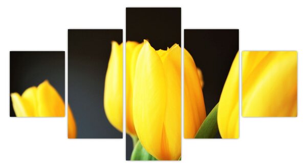 Obraz tulipanów (125x70 cm)